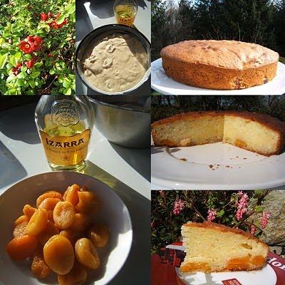Gâteau au mascarpone abricots et Izarra