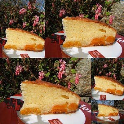 Gâteau au mascarpone abricots et Izarra