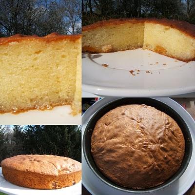 Gâteau au mascarpone abricots et Izarra