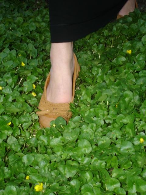 De retour mais pas trop,car Céline et moi sommes trééés c...