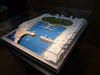 Photo (c) Molly Brown