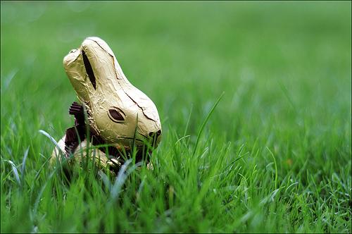 Joyeuses Pâques : les photos de la semaine