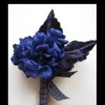 Les boutonnières de Fritts Rosenow