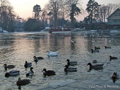 Vocabulaire #2 - Jabotement