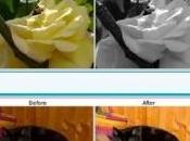 Logiciel plug-in pour Bibble