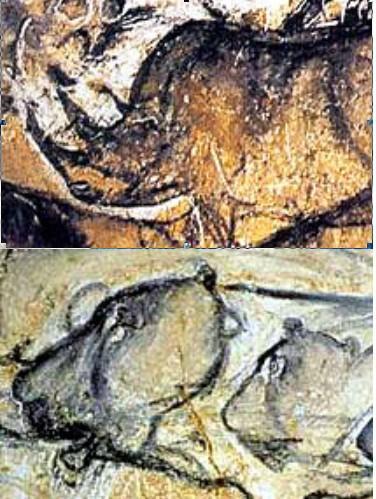 rhinoceros-et-lionne-grotte-chauvet.1270368146.jpg