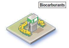 biocarburant.jpg