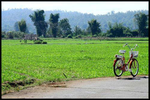BLOG, ma bicyclette Mae Sariang