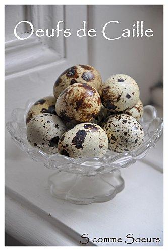 2010-03-25 saladelentilles1