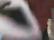 Doyouchat.com, fantasme réalité.