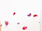 Look fleuris Brandalley