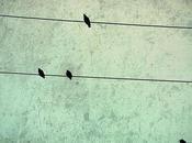 Allez voir toute urgence travail cette artiste, Lucy...