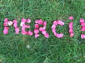 blog vient d'atteindre 10000 visites... Merci