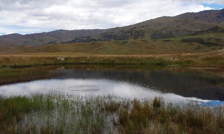 VILMO IN NZ / THE MATAURA,  KIWI MECCA  – INCONTOURNABLE MATAURA