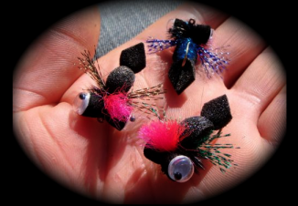 VILMO IN NZ / THE MATAURA,  KIWI MECCA  – INCONTOURNABLE MATAURA