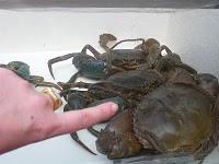 Du côté de Singapre river (en video - 2/3)