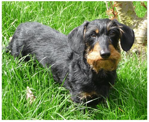 Don’t Call my Name Roberto