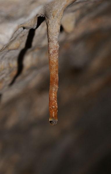 L'IMAGE DU JOUR: Stalactite, Belfort