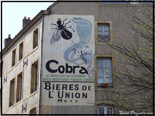 Cobra---bieres-de-l-union-Metz.jpg