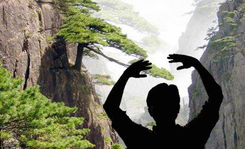 Le total silence en ma vie (Guillevic)