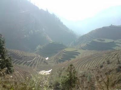 Carnets, 22 février: sur les épaules du dragon (Longji)