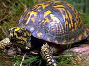 Appel d’une lectrice