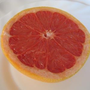 Pamplemousse.jpg