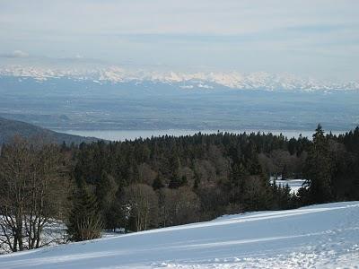 Un thé au bord du Lac de Neuchâtel