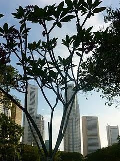 Buildings (autour de Singapore river et de Marina Bay)