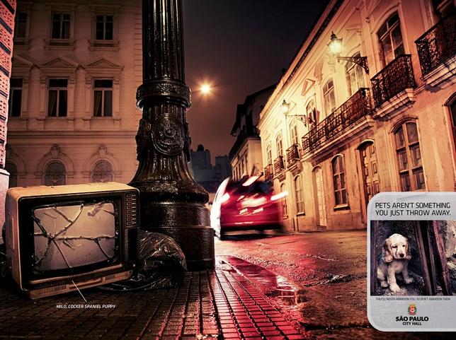 pub pour protection des animaux