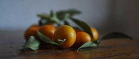 kumquat 4