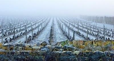 ..GROSSES GELÉES mai 1909.