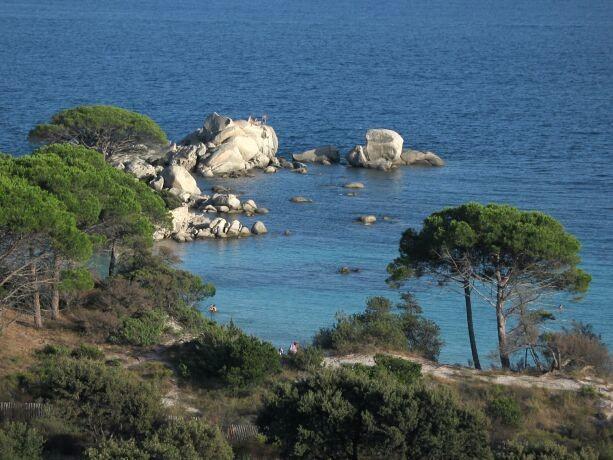 http://corse-sauvage.com/Littoral%20Corse/Images/Palombaggia_plage_2GF.jpg