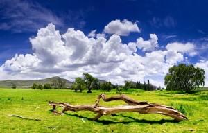 Paysages et couleurs