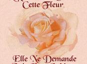 Mmmmmmm c'est beau....recu mabiche1231.