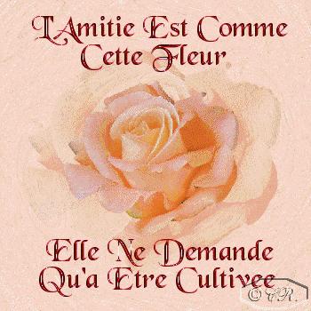 Mmmmmmm que c'est beau....recu de mabiche1231.