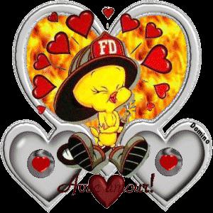 Mmmmmmm que c'est beau....recu de mabiche1231.