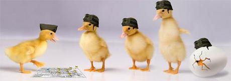 #5 Découvertes du Web…