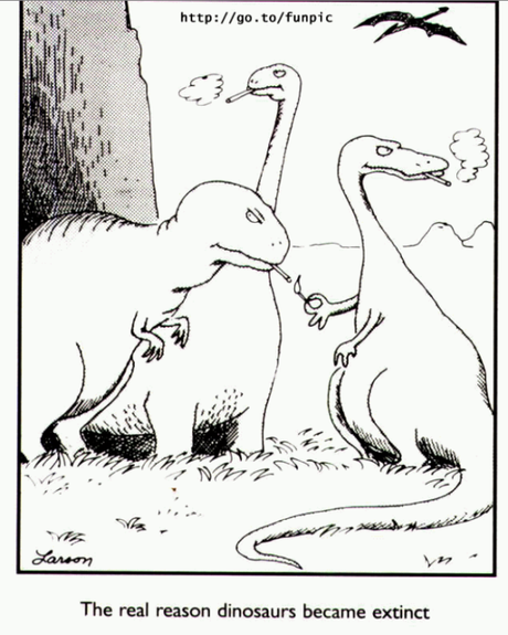 FAR SIDE