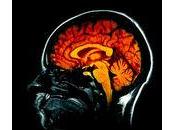 Institut cerveau moelle épinière bientôt Paris