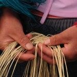 KIVA : la première plateforme de prêts à des entrepreneurs