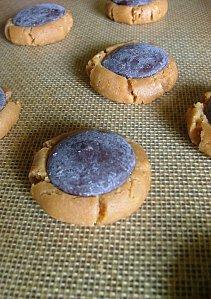 Cookies délicieusement sablés (sans farine, sans beurre... ou presque) cookie