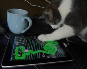 L’iPad ne laisse pas les chats indifférents