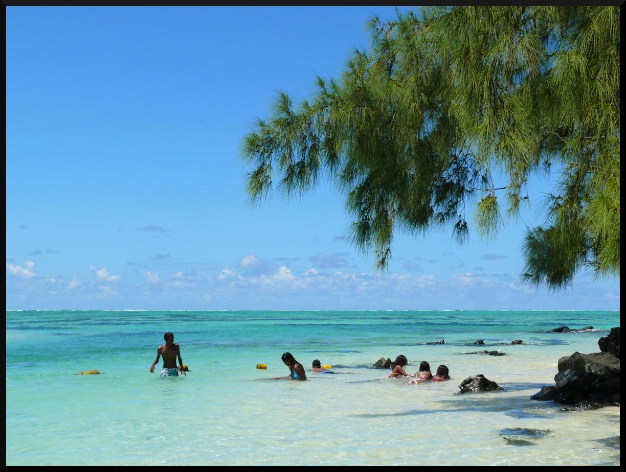 7eme jour : île aux cerfs