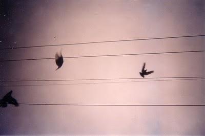 La tête dans les nuages, et les  pieds aussi. j  thorn ex...