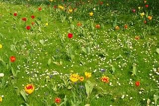 Les gens qui doutent