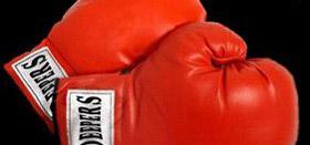 Tapie / Le Pen : les derniers cavicornes