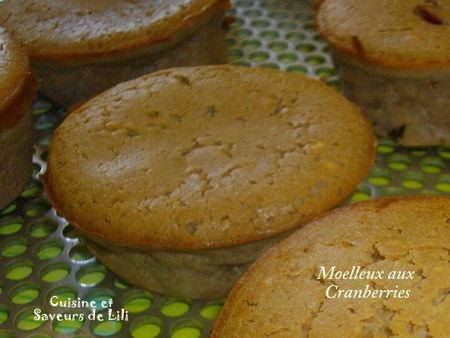 Moelleux aux cranberries Moelleux_aux_cranberries_et_chocolat_au_caramel__8_