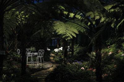 Les Serres Royales de Laeken accueillent le public