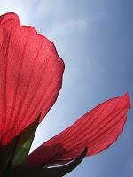 DES PRODUITS BIO QUI SENTENT VRAIMENT (VRAIMENT !) BON, CA EXISTE !